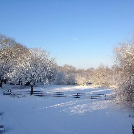 Landgoed Bergerven Bed & Breakfast *