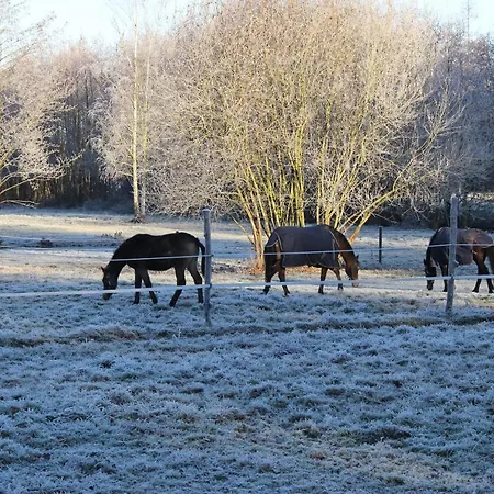 Landgoed Bergerven Bed & Breakfast Horn