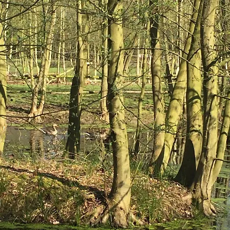 Bed & Breakfast Landgoed Bergerven