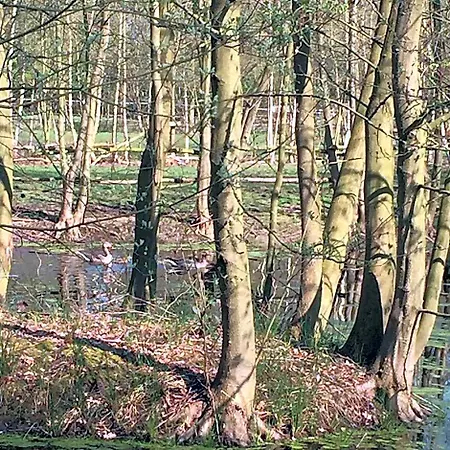 Frühstückspension Landgoed Bergerven