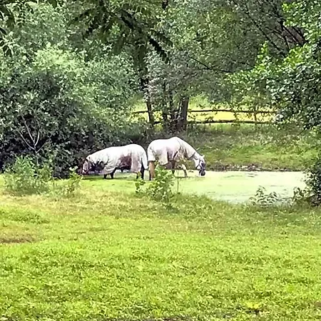 Landgoed Bergerven 4*