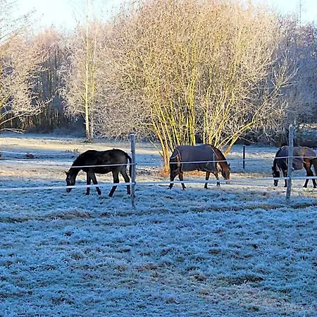 Landgoed Bergerven Frühstückspension