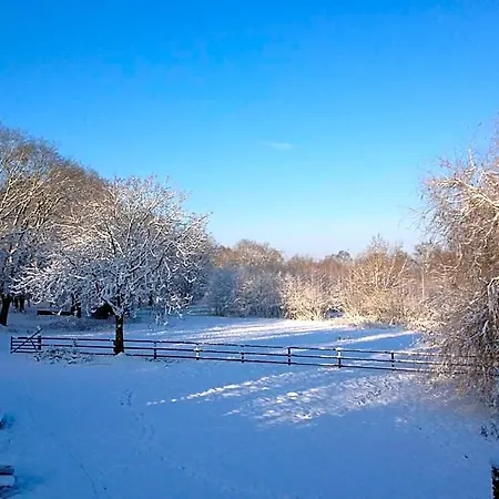 Frühstückspension Landgoed Bergerven