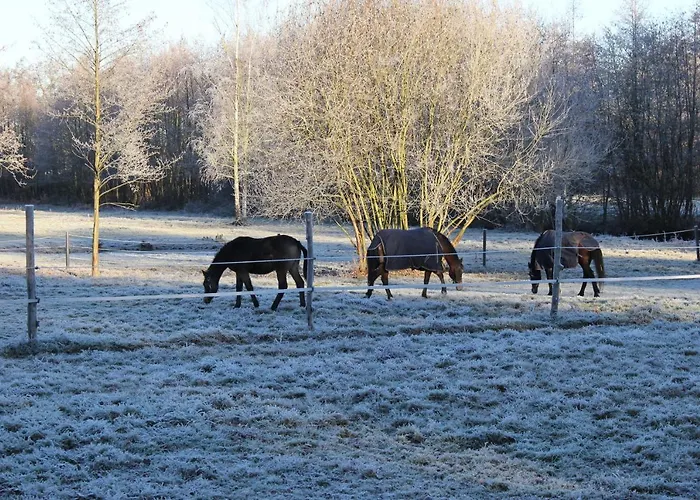 Landgoed Bergerven Oda ve Kahvaltı Horn