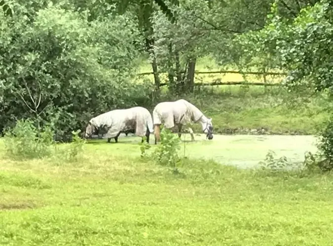 Landgoed Bergerven Horn
