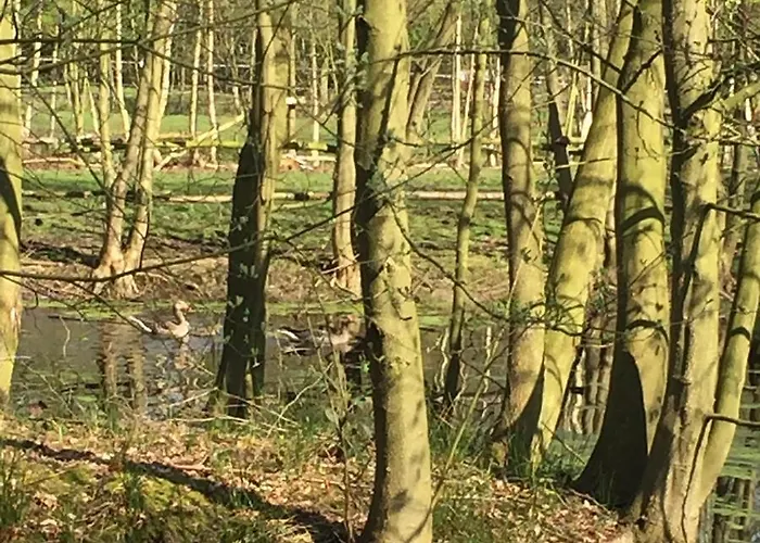 Oda ve Kahvaltı Landgoed Bergerven