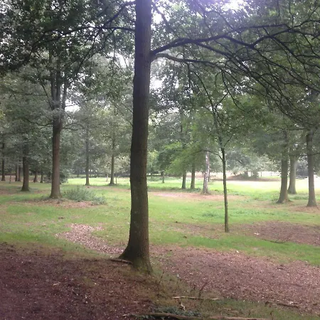 לינה וארוחת בוקר Landgoed Bergerven 4*