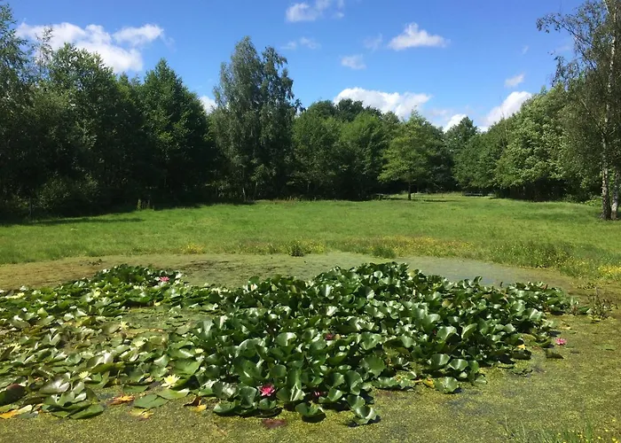 Landgoed Bergerven לינה וארוחת בוקר